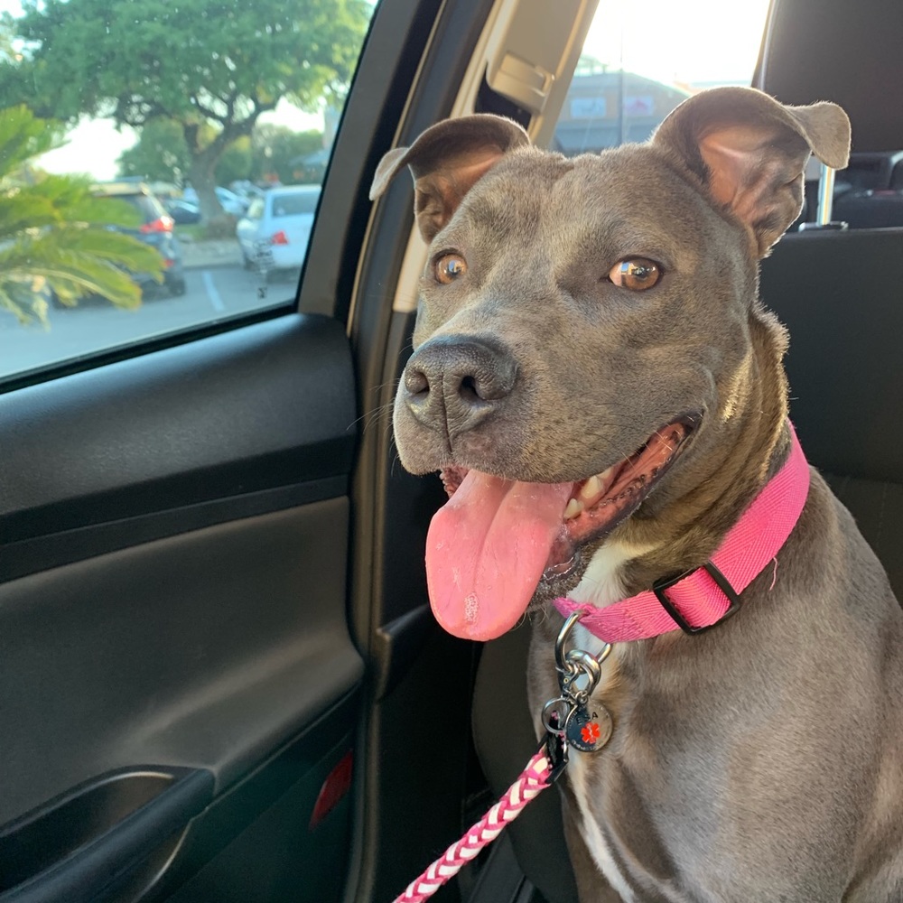 Meet your Posher, Amanda